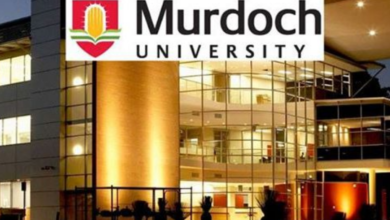 Crisis Healthcare Management in Scholarship at Murdoch University in Australia for 2022/2023