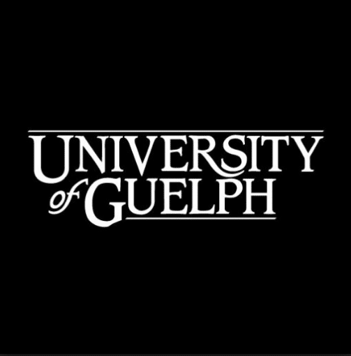 College of Guelph Commonwealth Undergraduate Scholarships 2022 for Growing International locations